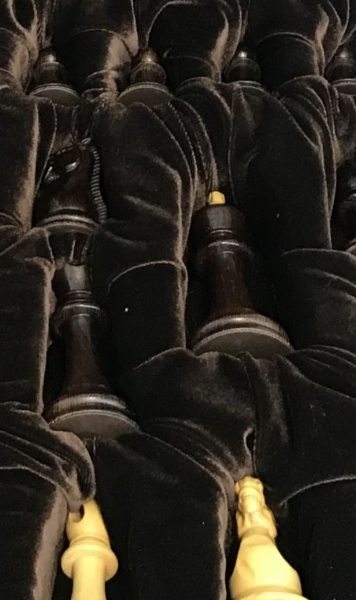 6211965644.jpg