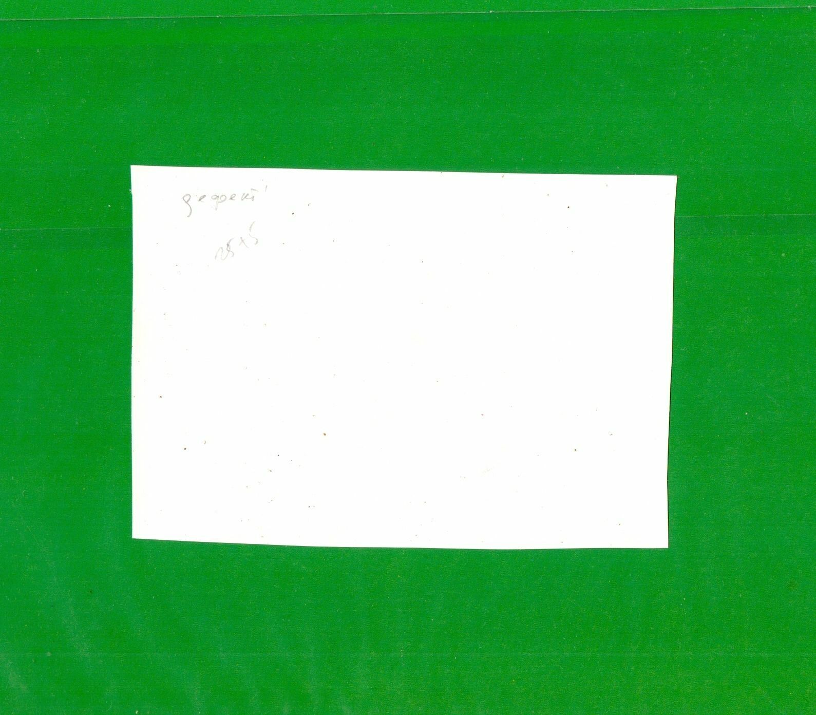 11186.CHESS PHOTO OF ANATOLY KARPOV ORIGINAL