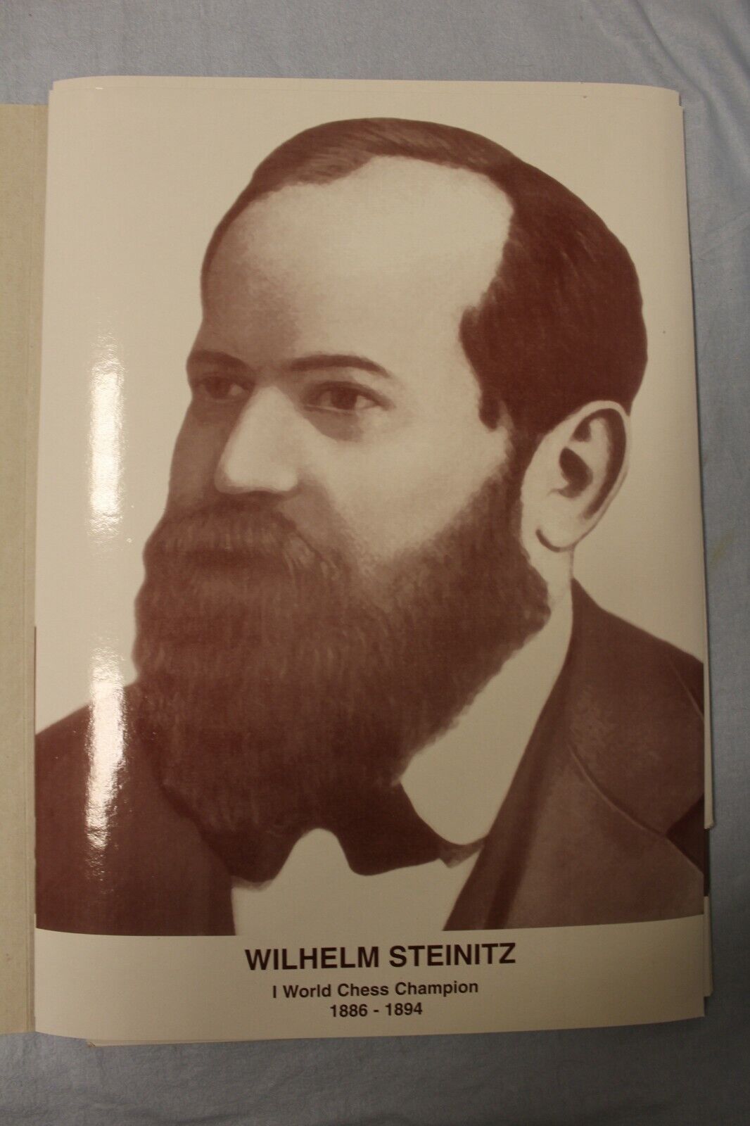 11339.Huge Wall Portraits of World Chess Champions (from Steinitz to Karlsen) 48Х34