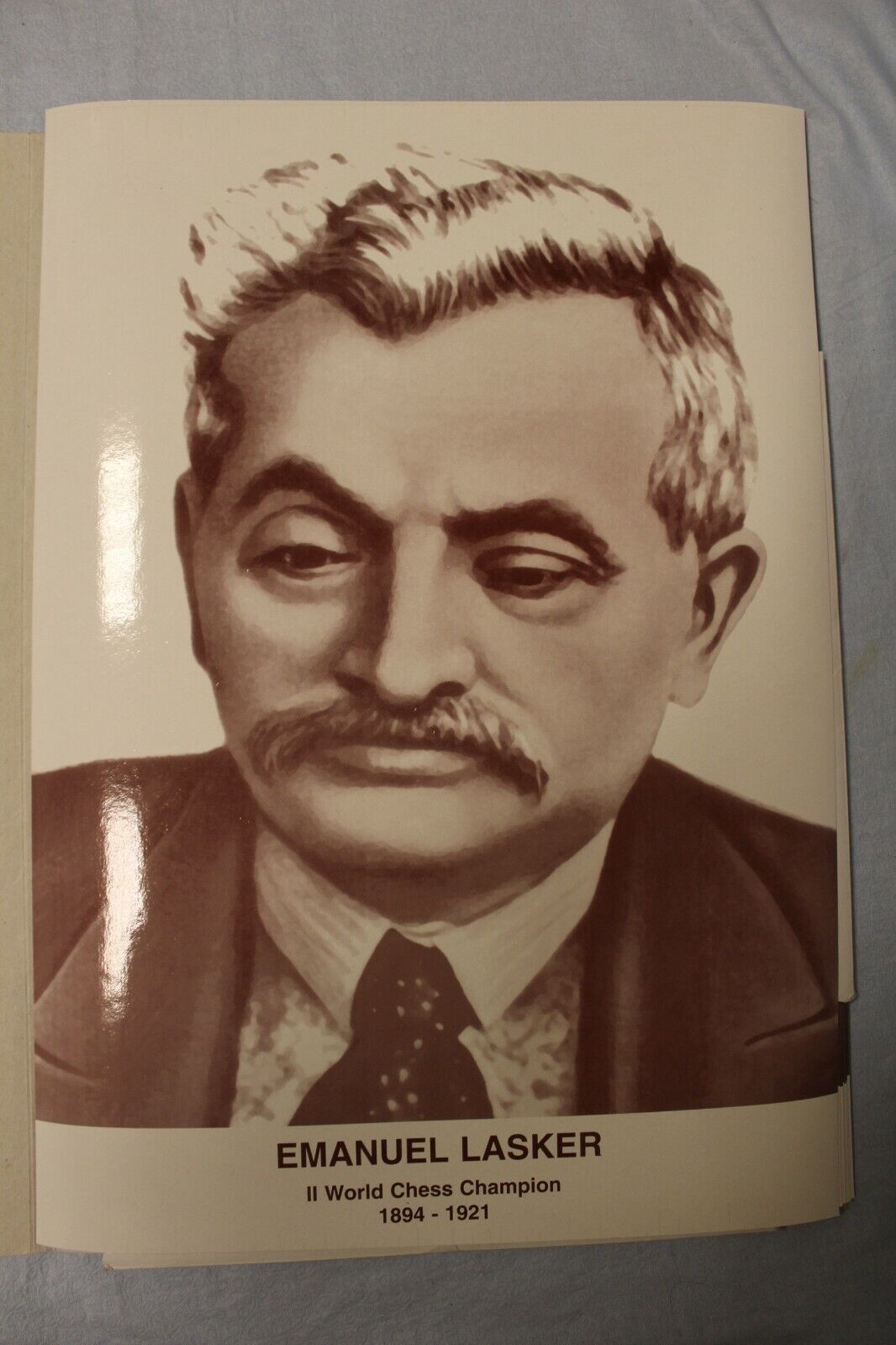 11339.Huge Wall Portraits of World Chess Champions (from Steinitz to Karlsen) 48Х34