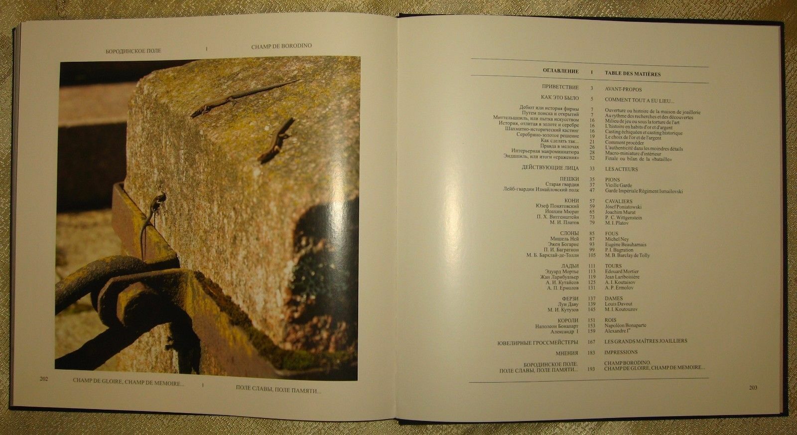 11504.Russian Chess Book: Andrei Ambrosovich, Vitali Feygine. Jeu dechecs. 1812. 2009
