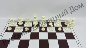 IMG_1912.png