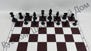IMG_1913.png